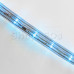 Дюралайт LED, постоянное свечение (2W) - синий, 24 LED/м, 10мм, бухта 100м